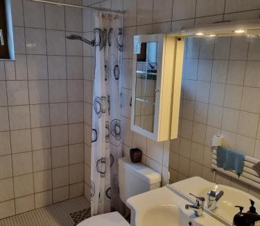 Seelbach-Schutter Apartamento | Ferienwohnung auf Kampen