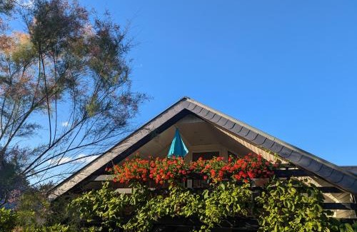 Waldstadt I Apartamento | Ferienwohnung Am Fenn