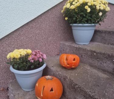 Garz/Rugen Apartamento | Ferienwohnung am grünen Haus