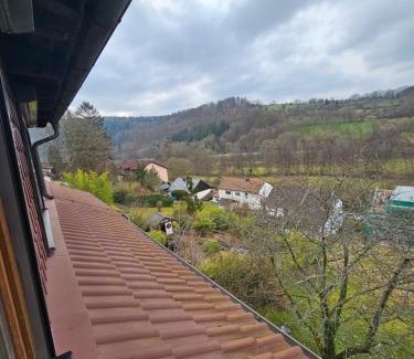Bad Konig Apartamento | Ferienwohnung am Heuberg