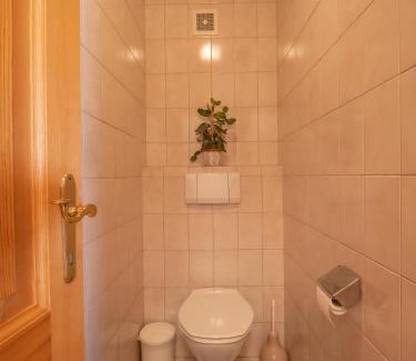 Pfarrwerfen Apartamento | Ferienwohnung Antonia