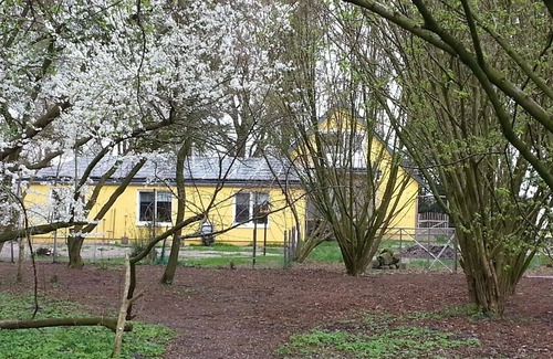 Geestland Apartamento | Ferienwohnung/app. für 4 Gäste mit 70m² in Bad Bederkesa