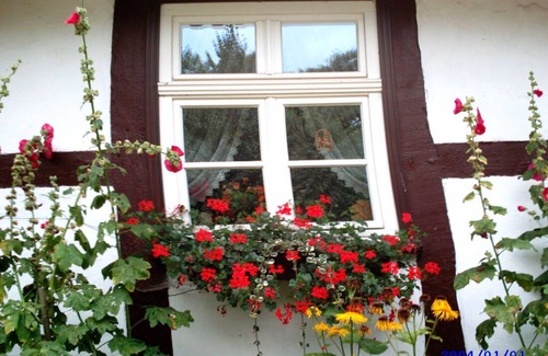 Muritz Apartamento | Ferienwohnung/app. für 5 Gäste mit 75m² in Ulrichshusen