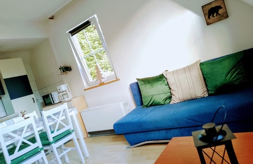 Mitteltal Apartamento | Ferienwohnung/app. für 4 Gäste mit 37m² in Baiersbronn