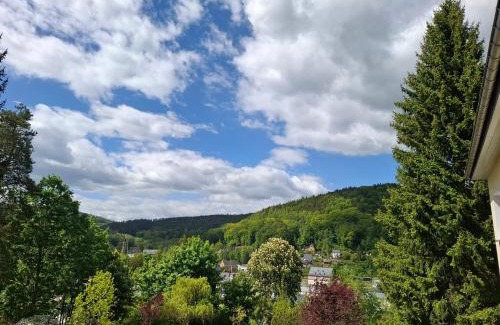 Aue Apartamento | Ferienwohnung Böhme Aue