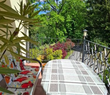 Aue Apartamento | Ferienwohnung Böhme Aue