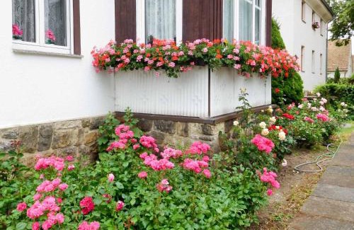 Leubnitz-Neuostra Apartamento | Ferienwohnung Baade