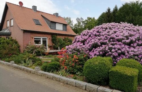 Wietzendorf Apartamento | Ferienwohnung Bachmanns Ruh