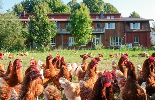 Schwerin Apartamento | Ferienwohnung Blau - Urlaub auf dem Biohof