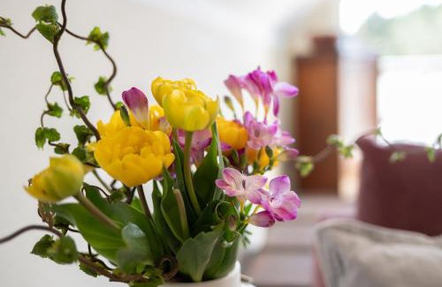 Born auf dem Darss Casa | Ferienwohnung Dünenrose