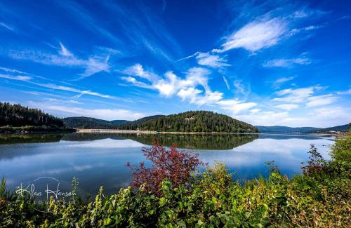Schluchsee Apartamento | Ferienwohnung "Domicil Schluchsee"