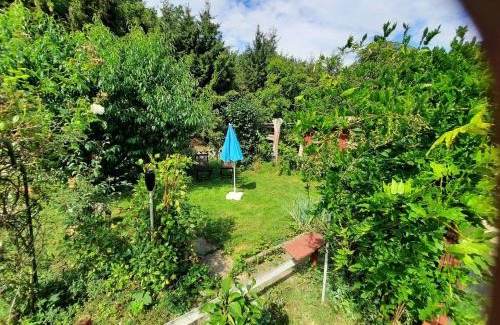 Bad Harzburg Apartamento | Ferienwohnung-Eldorstal-2-Urlaub-mit-Hund-in-Bad-Harzburg
