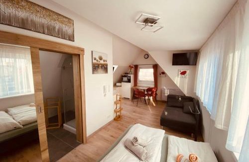 Frickenfelden Apartamento | Ferienwohnung Elisabeth 3