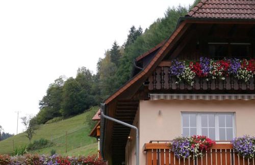Wolfach - Saint Roman Apartamento | Ferienwohnung Eulennest