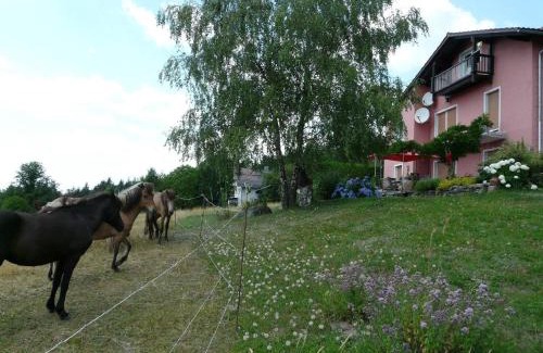 Neureichenau Apartamento | Ferienwohnung für 2 Personen ca 40 m in Neureichenau, Bayerischer Wald