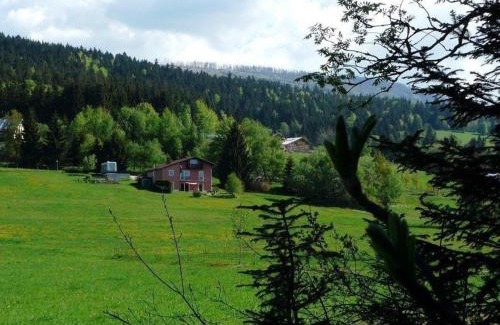 Neureichenau Apartamento | Ferienwohnung für 2 Personen ca 40 m in Neureichenau, Bayerischer Wald