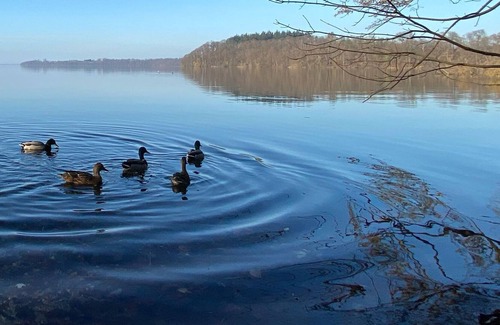 Raben Steinfeld Apartamento | Ferienwohnung Franz am Schweriner See bei Schwerin MV