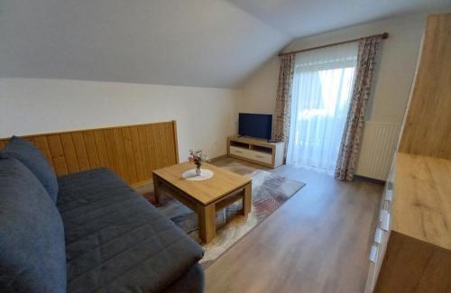 Mitterberg Apartamento | Ferienwohnung Feichter