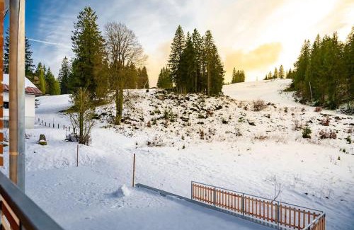 Feldberg Apartamento | Ferienwohnung Feldberg Schwarzwald
