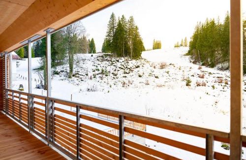 Feldberg Apartamento | Ferienwohnung Feldberg Schwarzwald