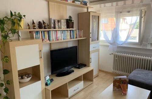Freudenstadt Apartamento | Ferienwohnung Frühlingsau