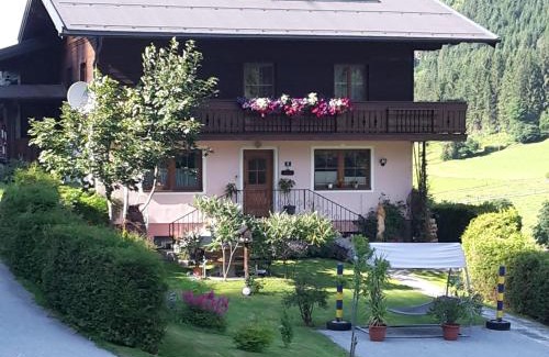 Kleinarl Apartamento | Ferienwohnung Franck