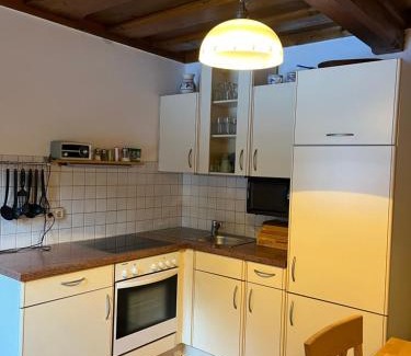 Grundlsee Apartamento | Ferienwohnung Gaiswinkler