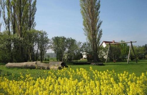 Ummanz Apartamento | Ferienwohnung Gans In Ummanz Lüßvitz