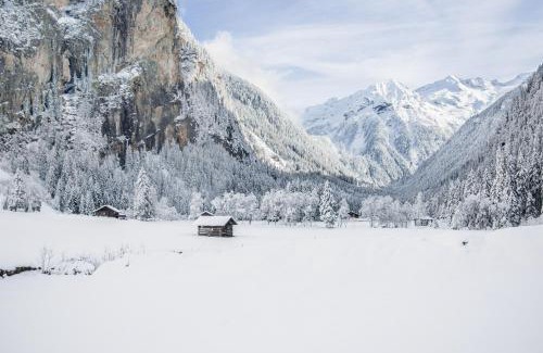 Dorfgastein Apartamento | Ferienwohnung Hartlbauer In Dorfgastein