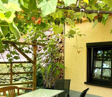 Duerrroehrsdorf-Dittersbach Apartamento | Ferienwohnung Hubertus