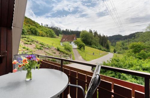 Schenkenzell Apartamento | Ferienwohnung im Hof 120qm