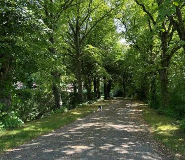 Pewsum Apartamento | Ferienwohnung im idyllischen Gulfhof