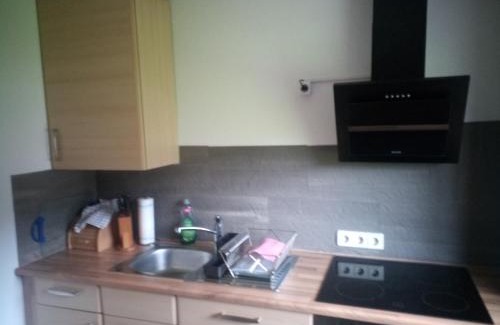 Sulzau Apartamento | Ferienwohnung im idyllischen Neckartal