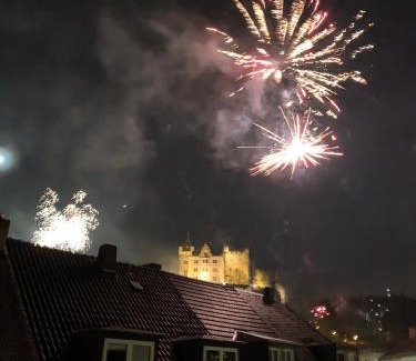 Mainz-Bingen Apartamento | Ferienwohnung in Binger Stadtmitte mit Balkon