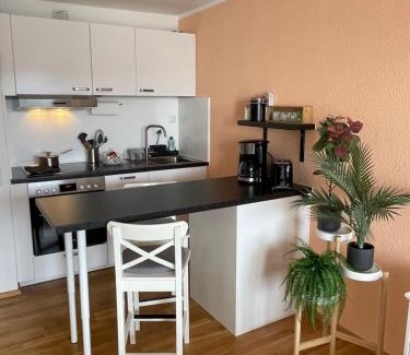 Kniebis Apartamento | Ferienwohnung in Freudenstadt-Kniebis III