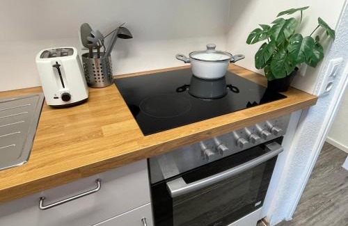Kniebis Apartamento | Ferienwohnung in Freudenstadt-Kniebis I, Schwarzwald