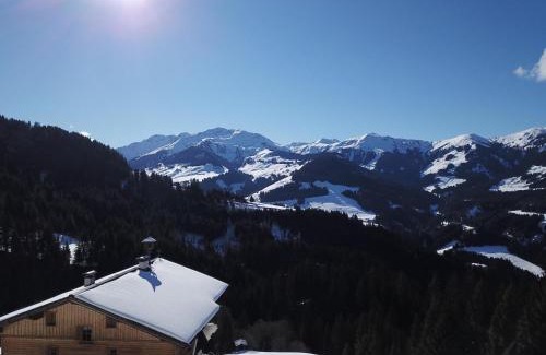 Wildschoenau Apartamento | Ferienwohnung in Panorama Alleinlage Kitzbüheler AlpenWILD63 by FeWo-Plan