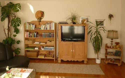 Ichenhausen Apartamento | Ferienwohnung Irmgard