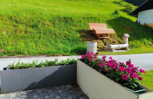 Frauenstein Apartamento | Ferienwohnung Kanegger