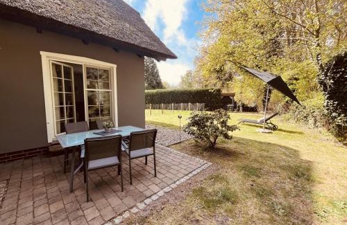 Wieck auf dem Darss Apartamento | Ferienwohnung Kimi in Wieck