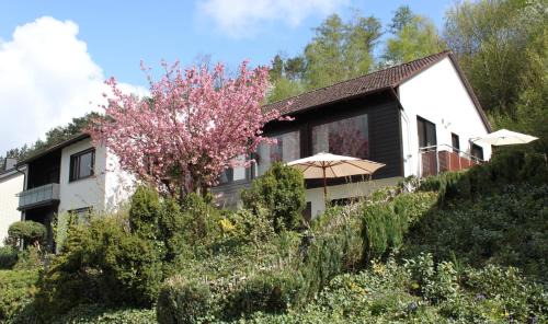 Bad Wuennenberg Apartamento | Ferienwohnung "Kirchblick" im Ferienhaus Blumenhain