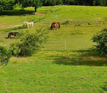 Sankt Martin an der Raab Apartamento | Ferienwohnung Landliebe, nahe Jennersdorf und Therme