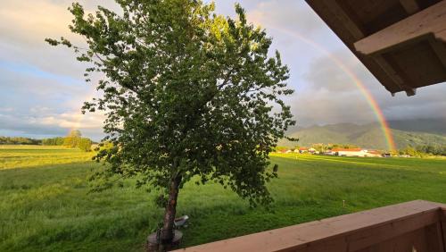 Uebersee Apartamento | Ferienwohnung Lederer