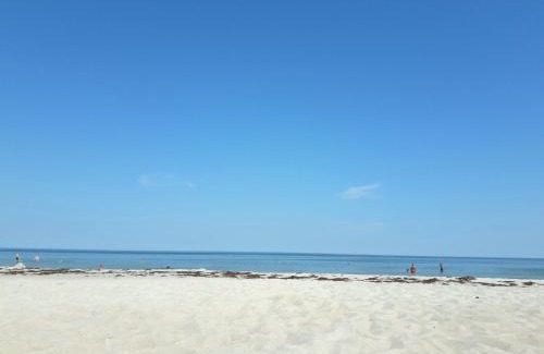 Sassnitz Apartamento | Ferienwohnung Leuchtturm