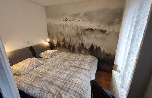 Ortsmitte Apartamento | Ferienwohnung Marx, K1 Blick, Willingen, Hoppecketal, Waschmaschine, Trockner