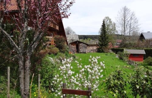 Hinterzarten Apartamento | Ferienwohnung Mattenweg 1a
