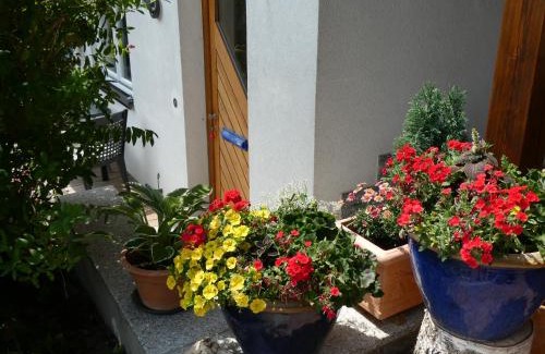 Hinterzarten Apartamento | Ferienwohnung Mattenweg 1a
