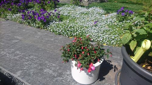 Klingenthal Apartamento | Ferienwohnung mit Garten und Spielplatz