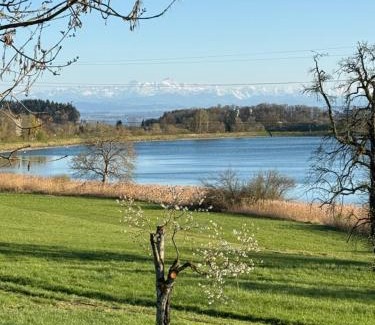 Ueberlingen Apartamento | Ferienwohnung mit See und Alpenblick