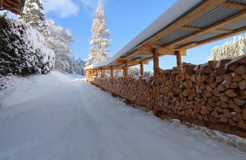Wildschoenau Apartamento | Ferienwohnung Pusteblume
